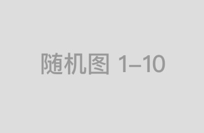 鸿岳资本如何通过战略投资提升市场影响力